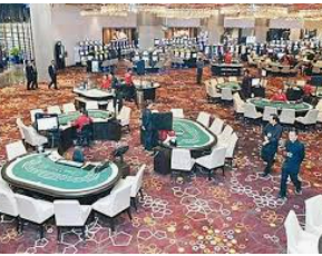 46倍狮子森林舞会2024最新版